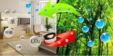 QQ圖片20171128103838.png QQ圖片20171128103838.png