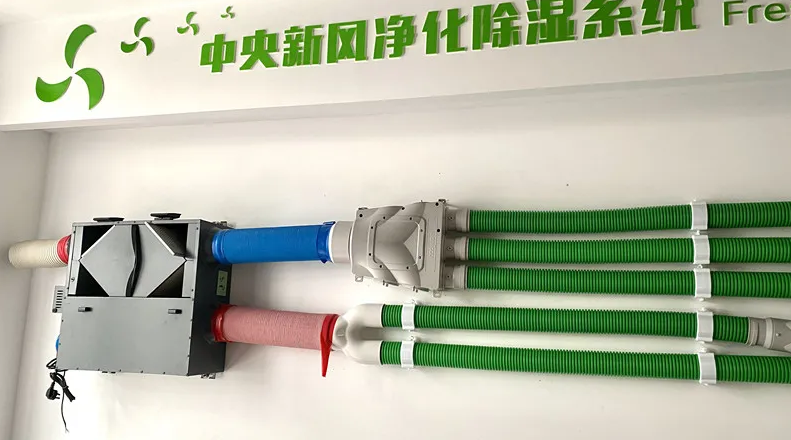 QQ截圖20210305172423.png QQ截圖20210305172423.png